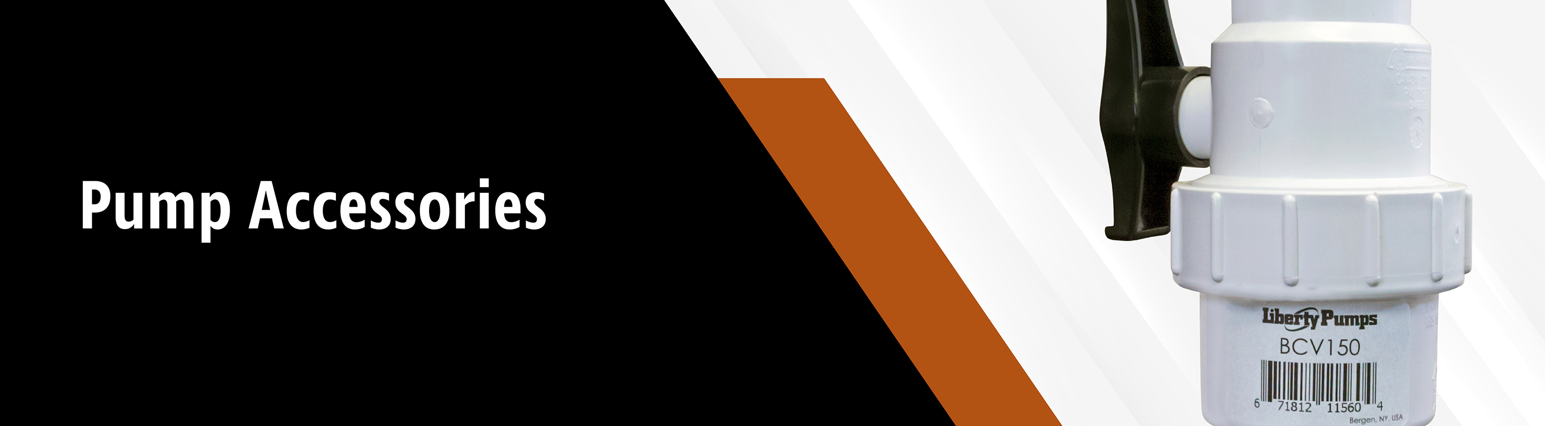 BCV Header-01.jpg
